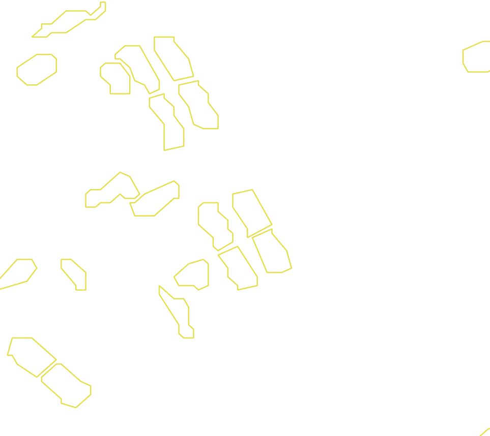 Daksegment met contourlijnen en structuurweergave