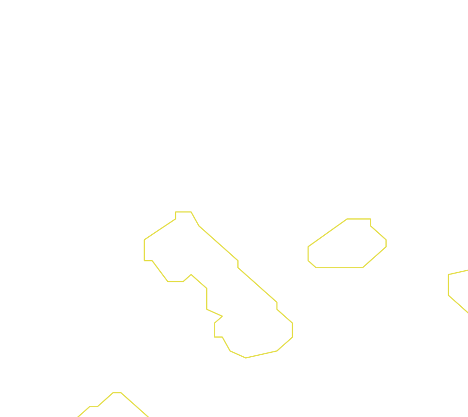 Daksegment ingezoomd met contourlijnen en structuurweergave