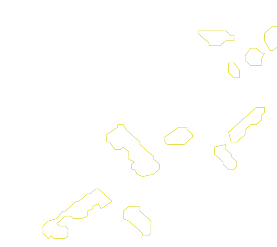 Daksegment met contourlijnen en structuurweergave