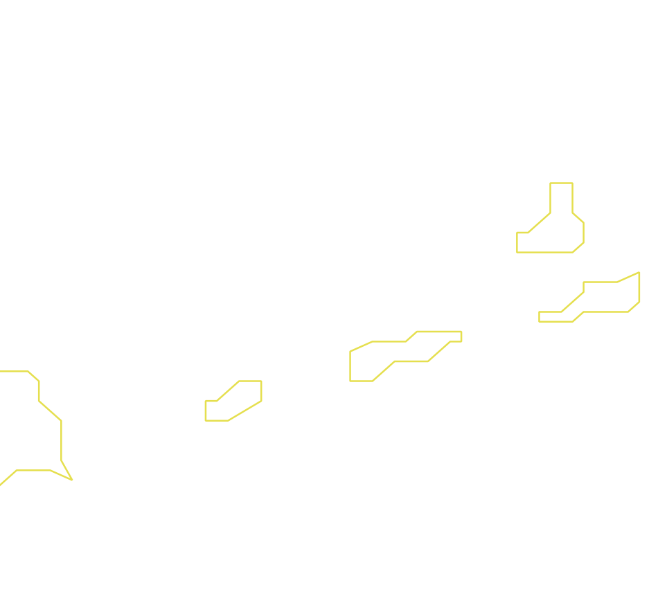 Daksegment ingezoomd met contourlijnen en structuurweergave