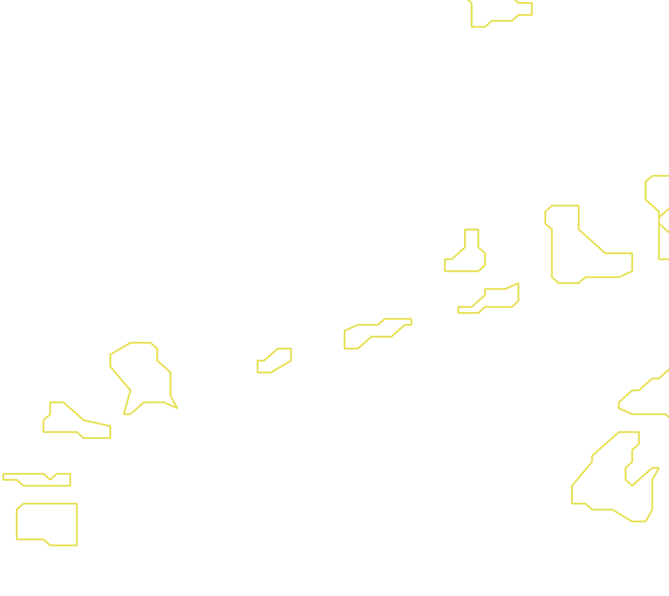 Daksegment met contourlijnen en structuurweergave