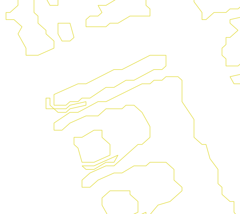 Daksegment ingezoomd met contourlijnen en structuurweergave