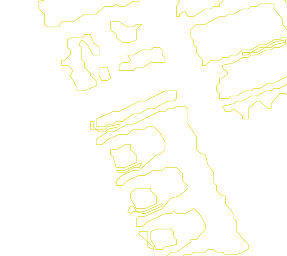 Daksegment met contourlijnen en structuurweergave