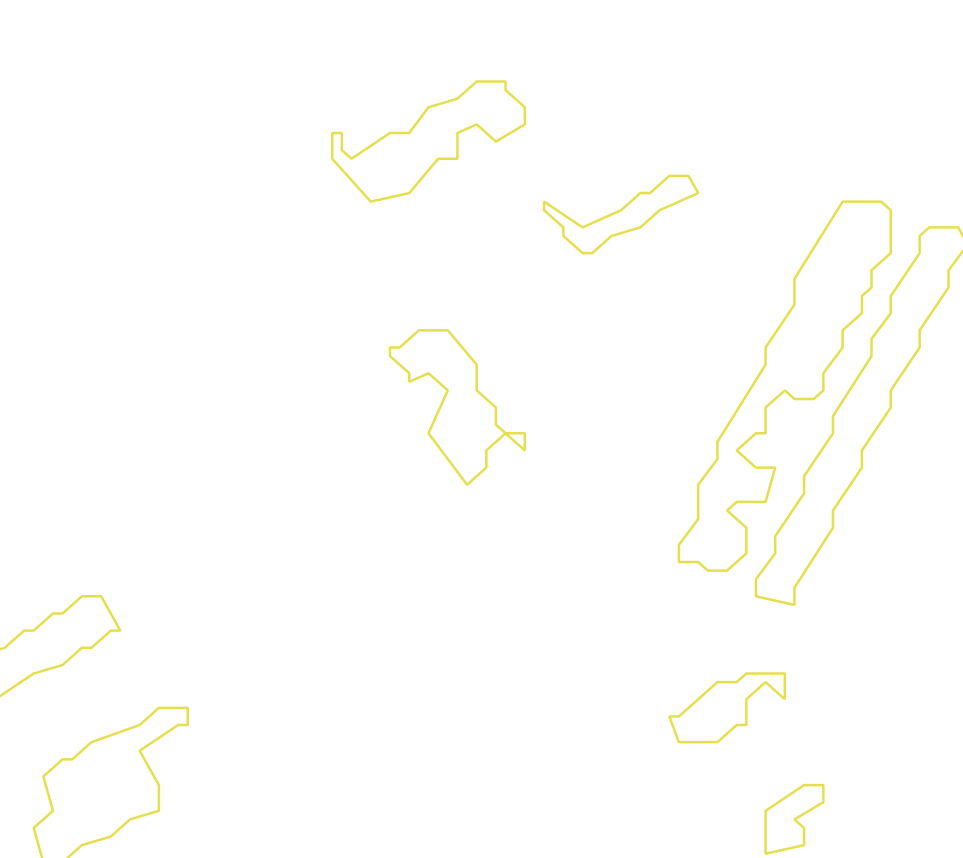 Daksegment met contourlijnen en structuurweergave