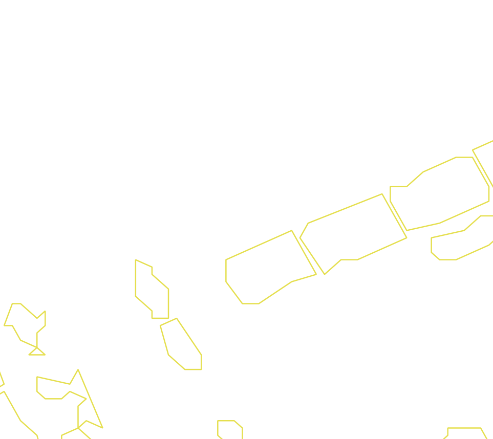 Daksegment ingezoomd met contourlijnen en structuurweergave