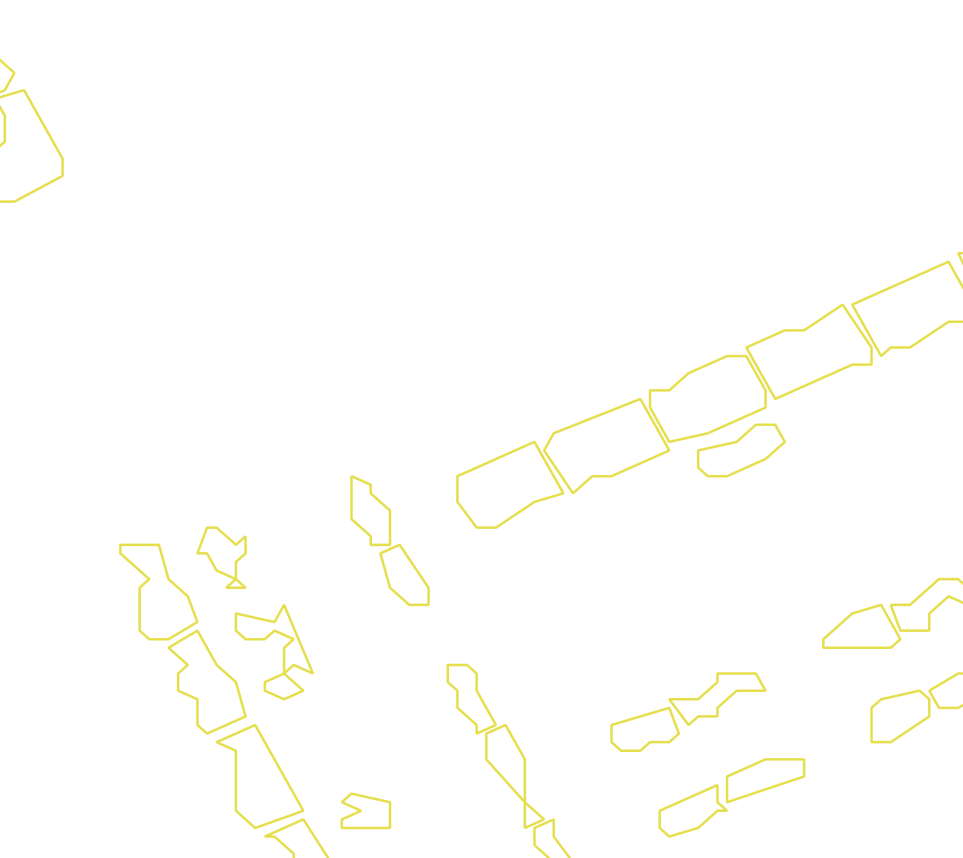 Daksegment met contourlijnen en structuurweergave