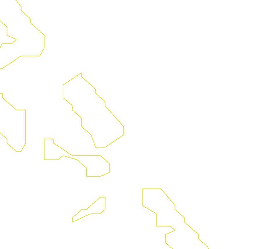 Daksegment ingezoomd met contourlijnen en structuurweergave