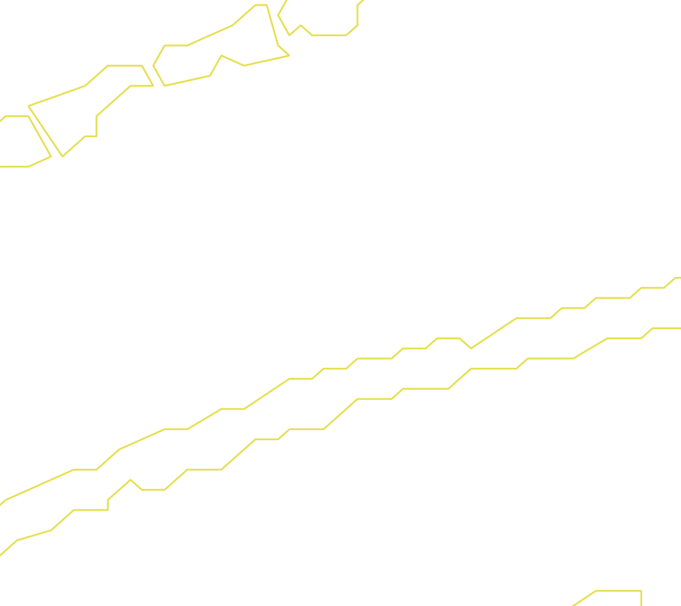 Daksegment ingezoomd met contourlijnen en structuurweergave