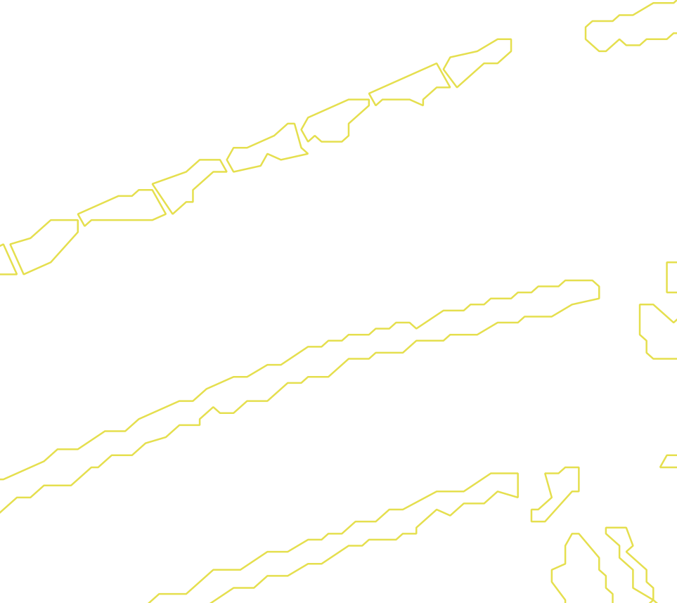 Daksegment met contourlijnen en structuurweergave
