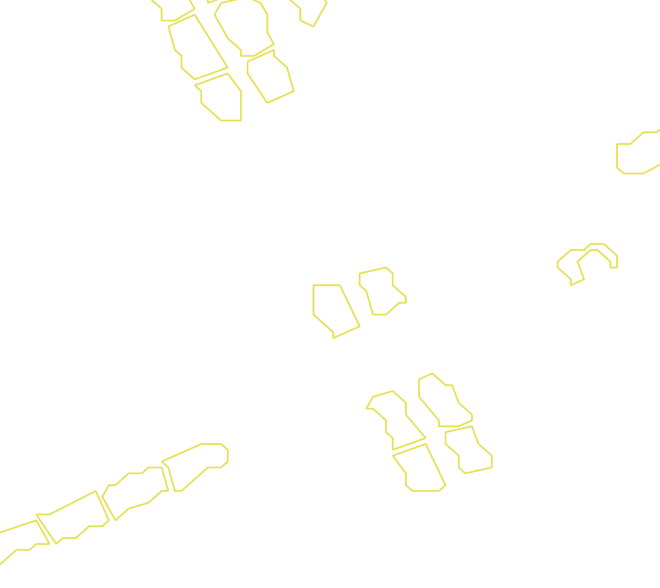Daksegment met contourlijnen en structuurweergave