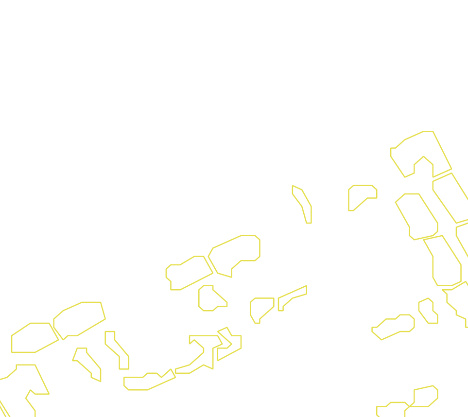 Daksegment met contourlijnen en structuurweergave