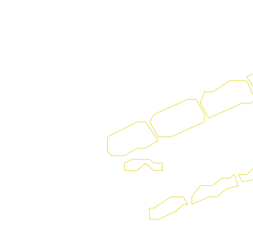 Daksegment ingezoomd met contourlijnen en structuurweergave