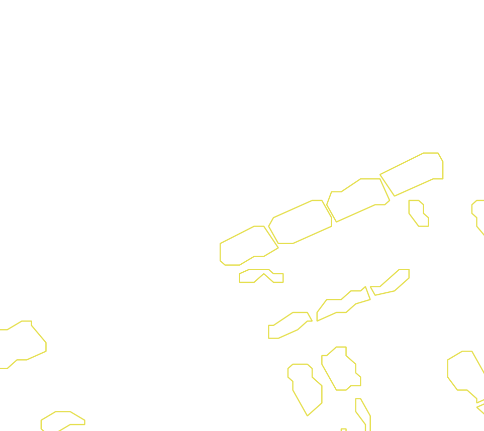 Daksegment met contourlijnen en structuurweergave