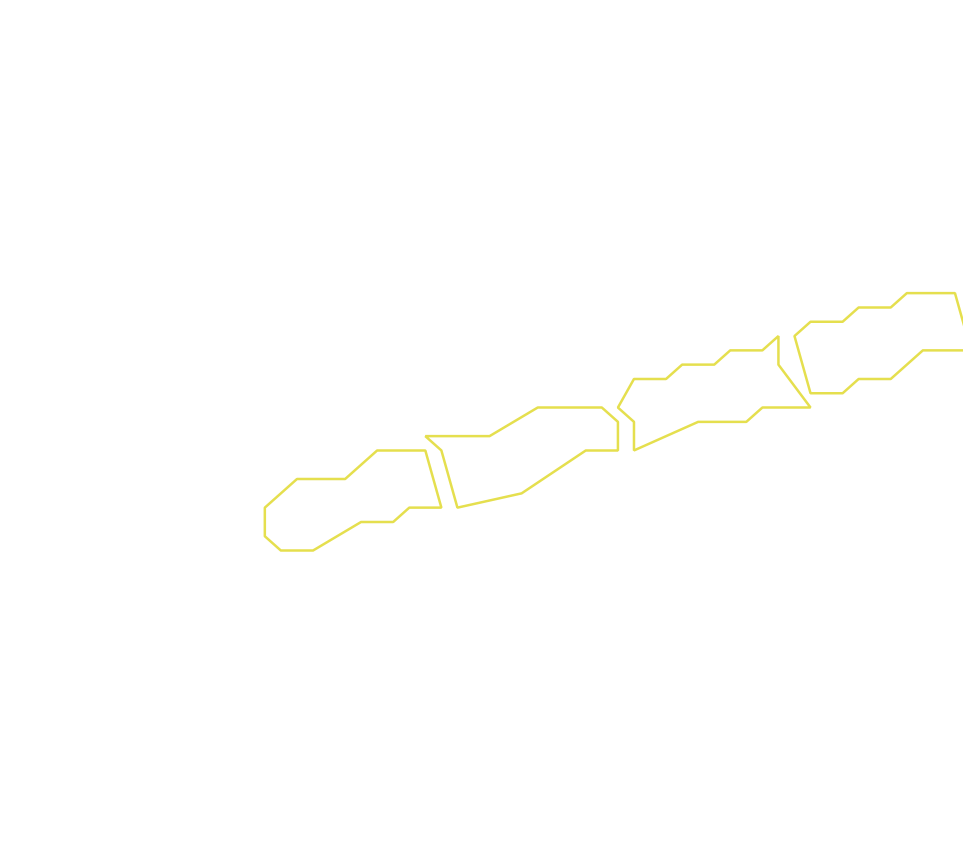 Daksegment ingezoomd met contourlijnen en structuurweergave
