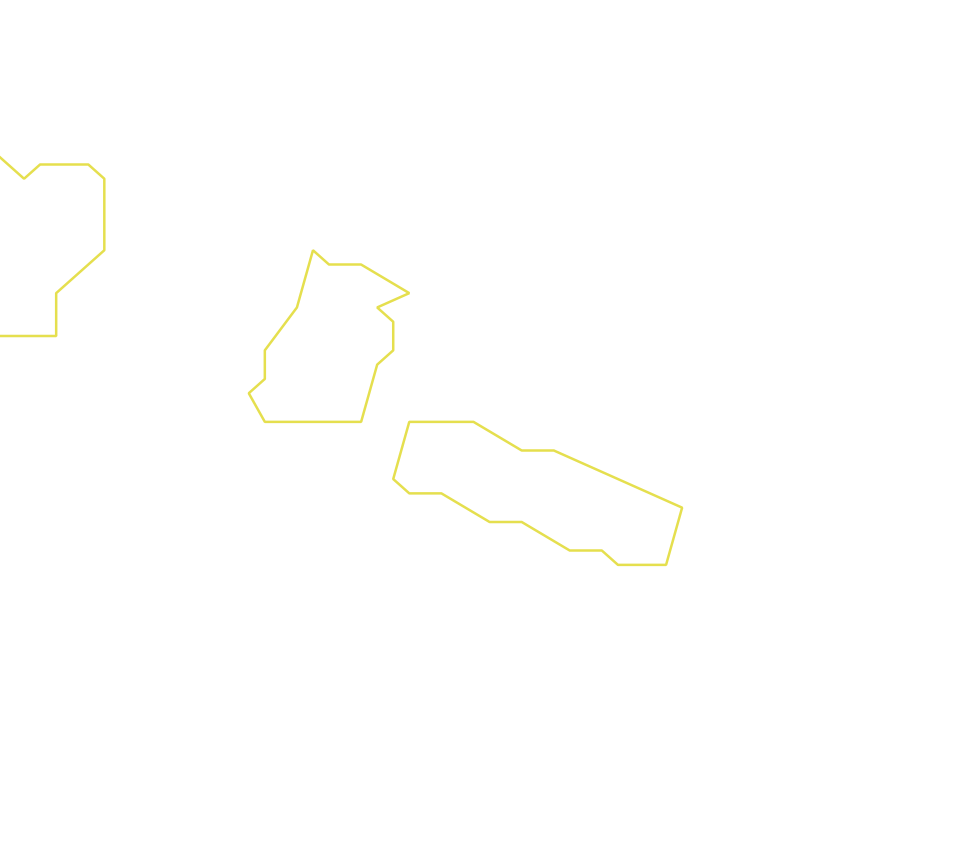 Daksegment ingezoomd met contourlijnen en structuurweergave