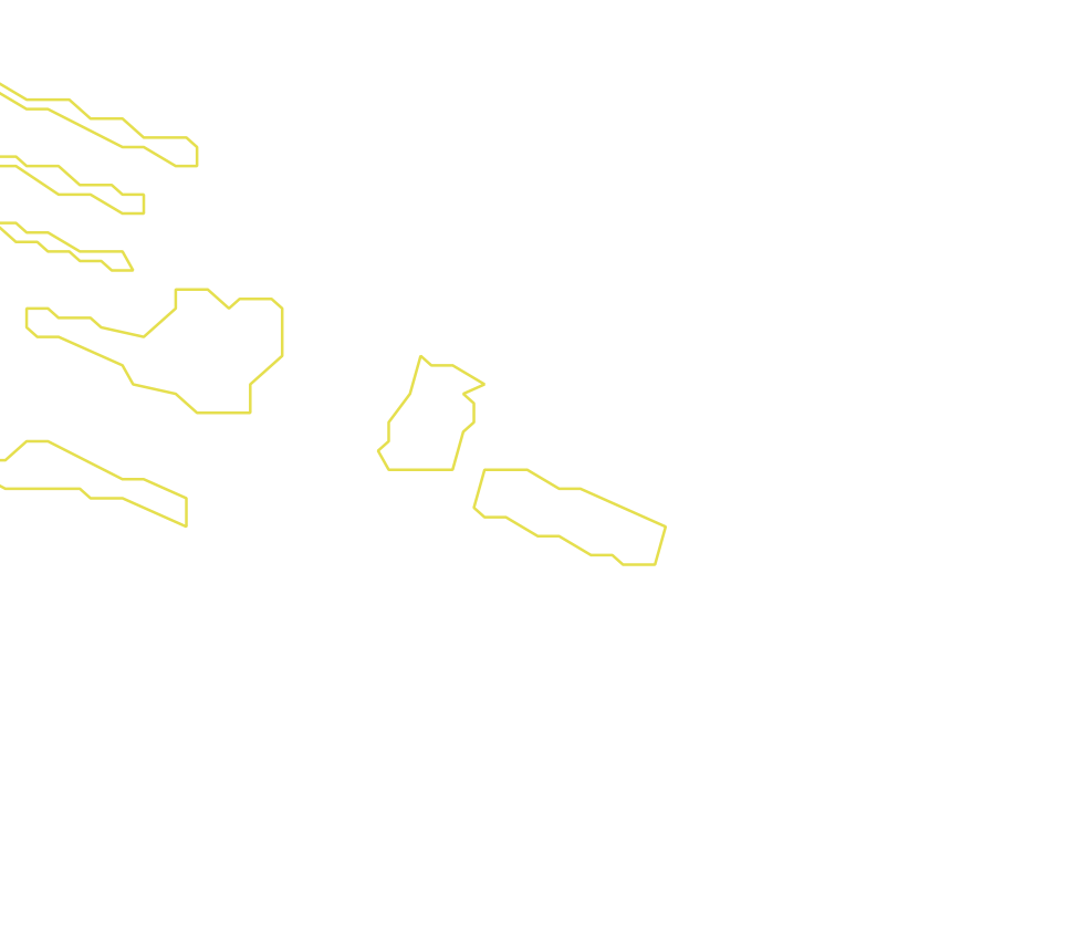 Daksegment met contourlijnen en structuurweergave