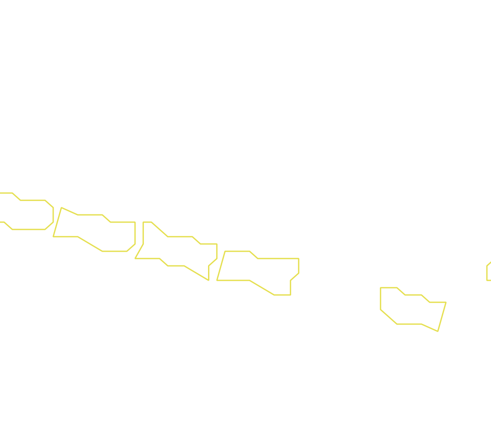 Daksegment ingezoomd met contourlijnen en structuurweergave