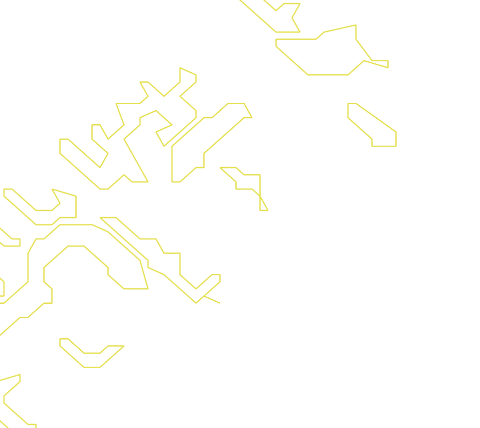 Daksegment ingezoomd met contourlijnen en structuurweergave