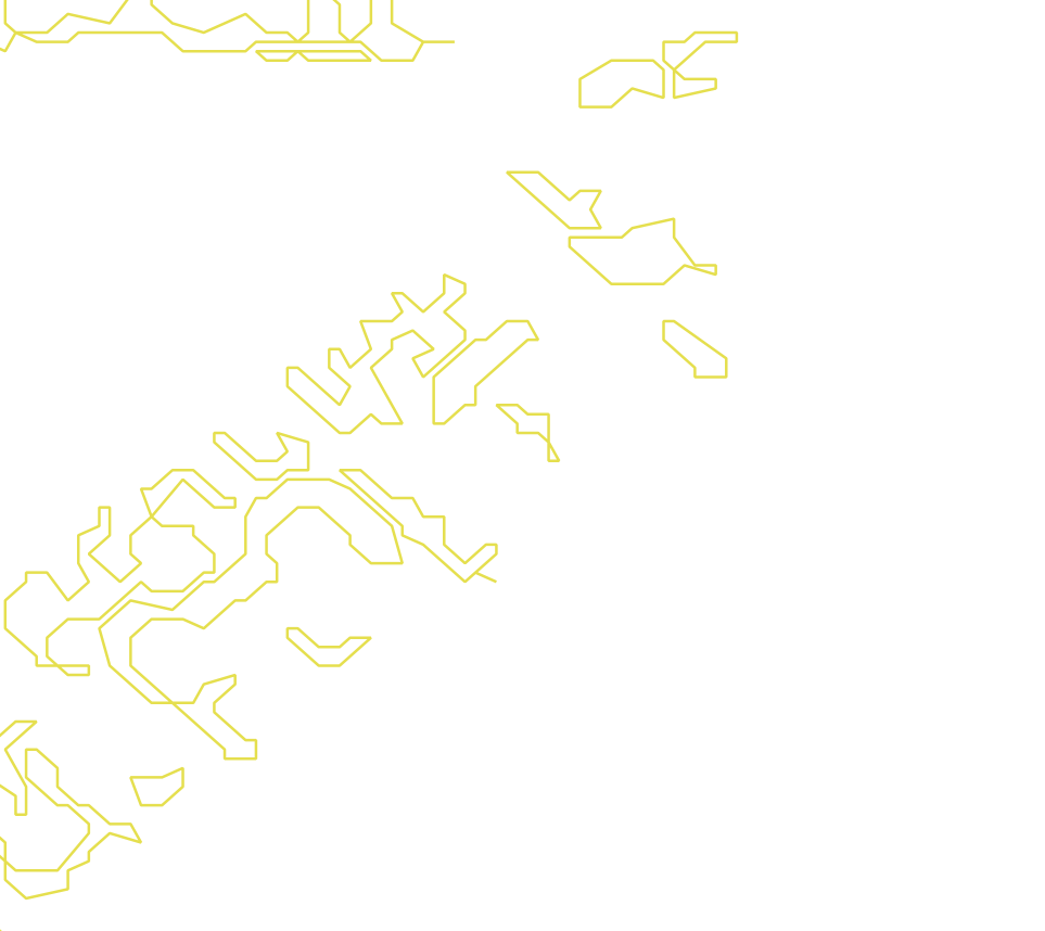 Daksegment met contourlijnen en structuurweergave