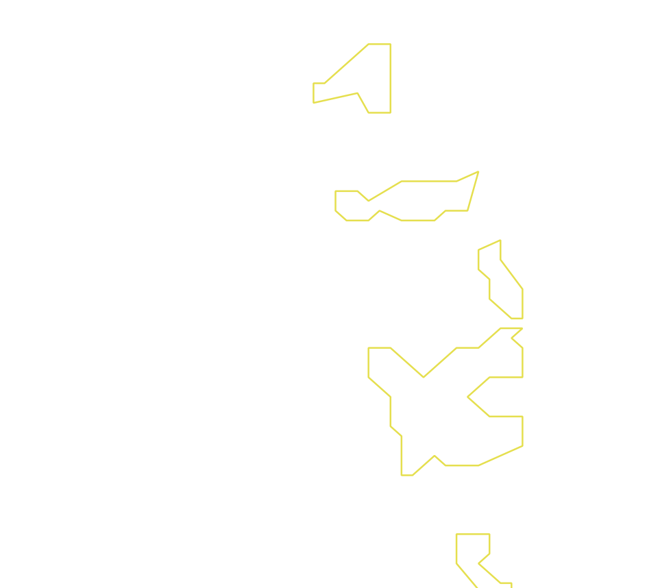 Daksegment ingezoomd met contourlijnen en structuurweergave