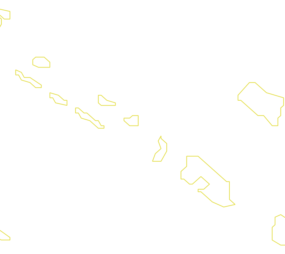 Daksegment met contourlijnen en structuurweergave