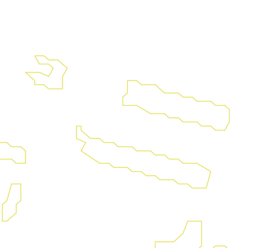 Daksegment ingezoomd met contourlijnen en structuurweergave