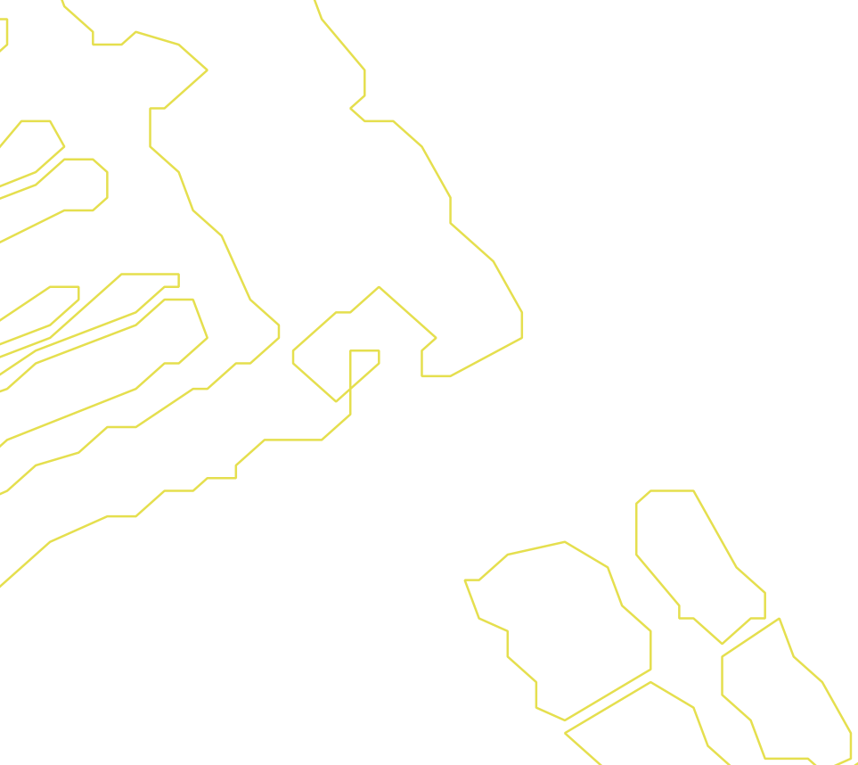Daksegment ingezoomd met contourlijnen en structuurweergave