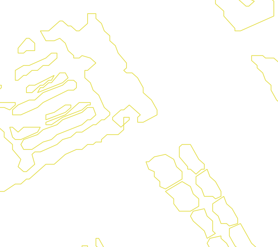 Daksegment met contourlijnen en structuurweergave