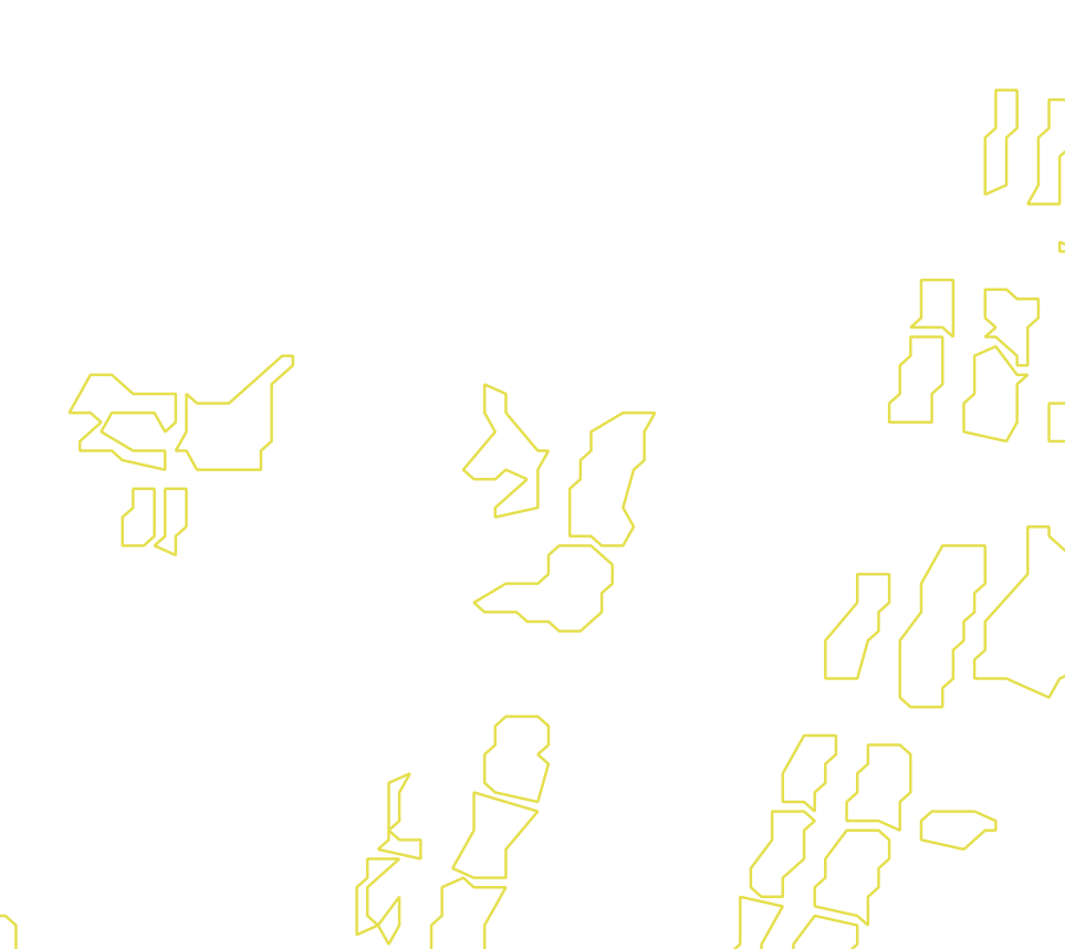 Daksegment met contourlijnen en structuurweergave