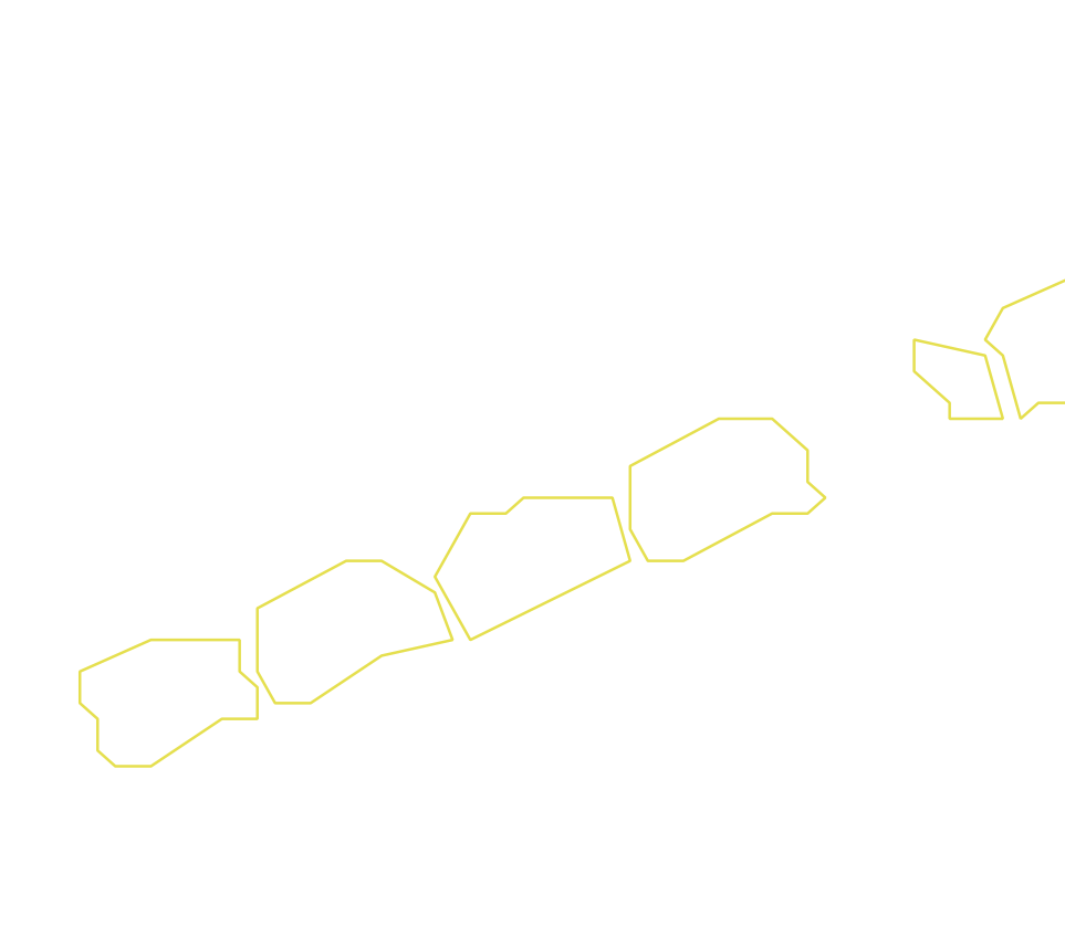 Daksegment ingezoomd met contourlijnen en structuurweergave