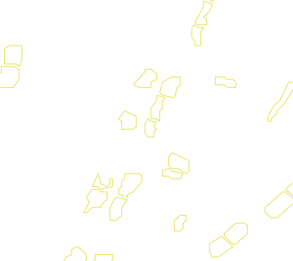 Daksegment met contourlijnen en structuurweergave