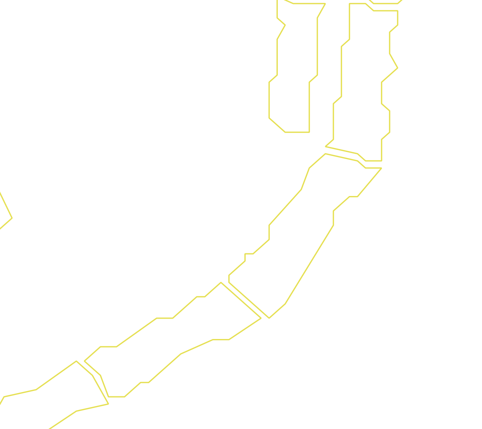 Daksegment ingezoomd met contourlijnen en structuurweergave
