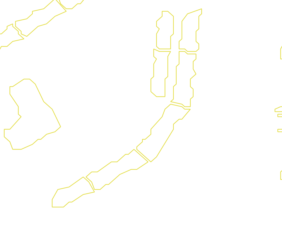 Daksegment met contourlijnen en structuurweergave