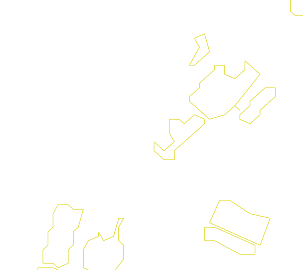 Daksegment ingezoomd met contourlijnen en structuurweergave