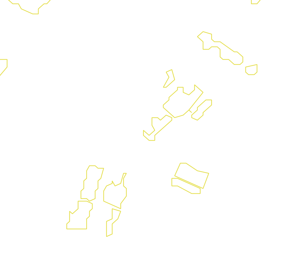 Daksegment met contourlijnen en structuurweergave