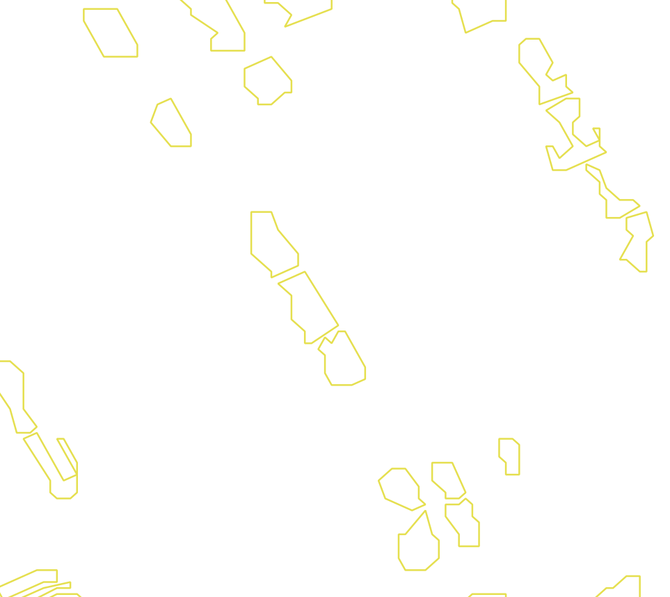 Daksegment met contourlijnen en structuurweergave