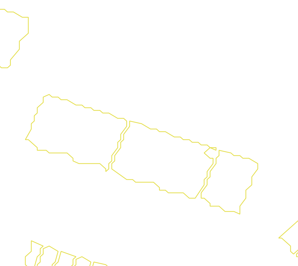 Daksegment met contourlijnen en structuurweergave
