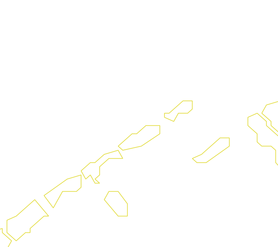 Daksegment ingezoomd met contourlijnen en structuurweergave