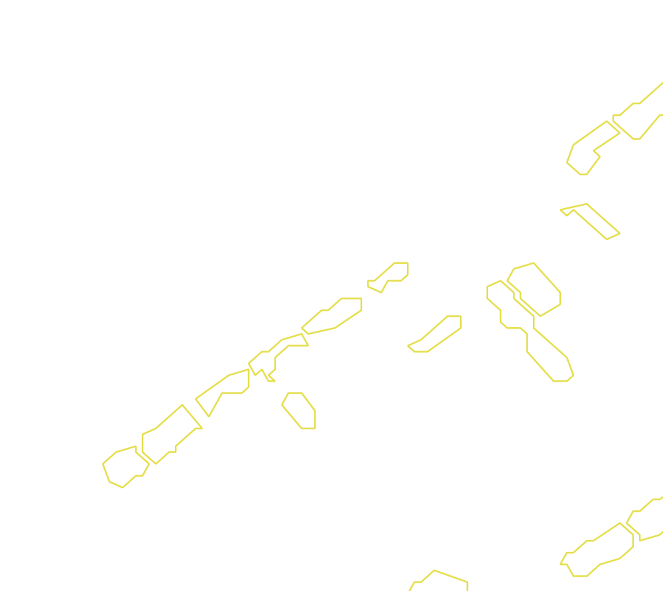 Daksegment met contourlijnen en structuurweergave