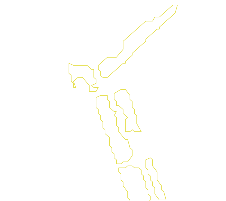 Daksegment met contourlijnen en structuurweergave