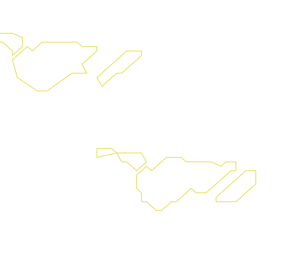 Daksegment ingezoomd met contourlijnen en structuurweergave