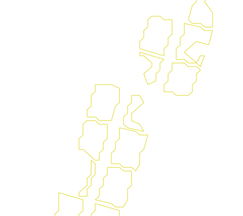 Daksegment ingezoomd met contourlijnen en structuurweergave