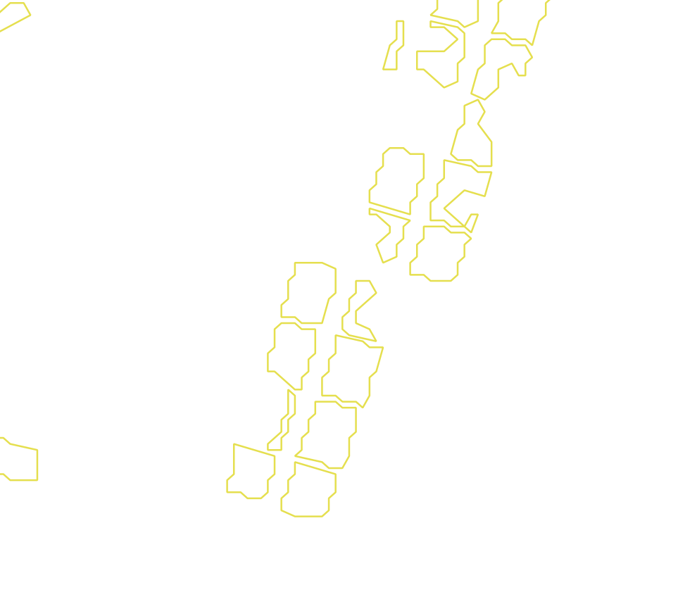 Daksegment met contourlijnen en structuurweergave