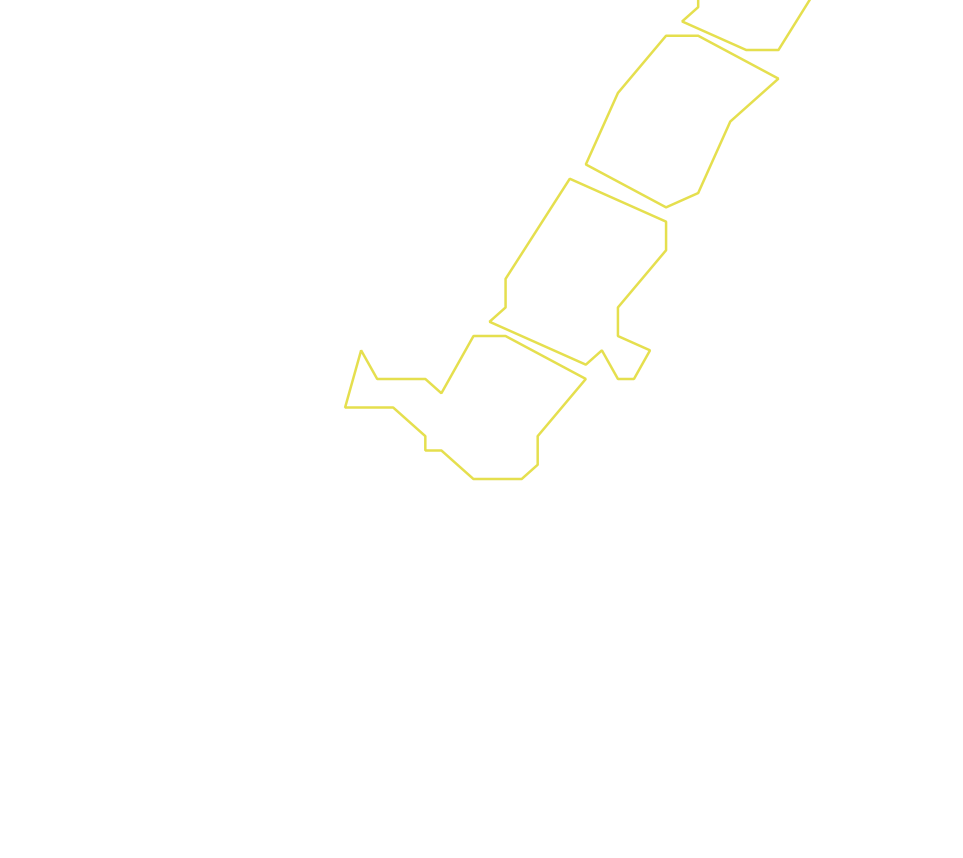 Daksegment ingezoomd met contourlijnen en structuurweergave