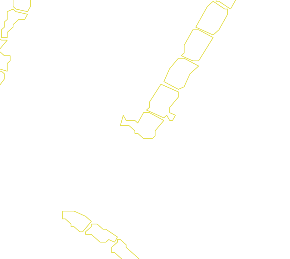 Daksegment met contourlijnen en structuurweergave