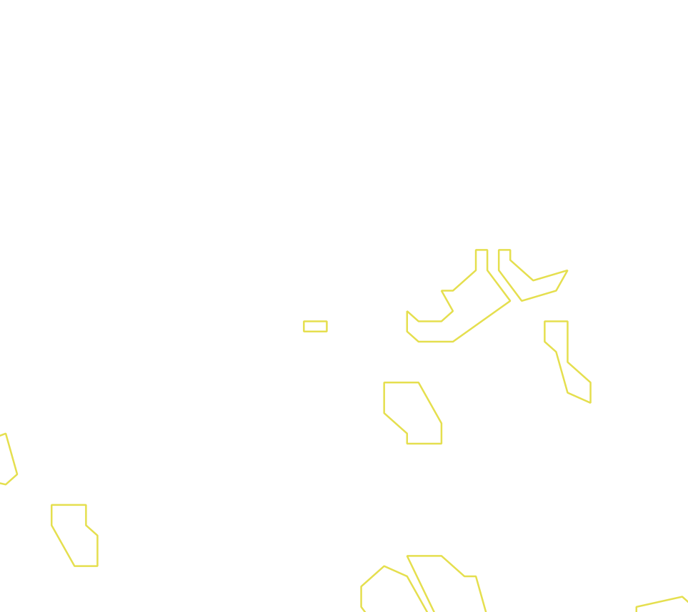 Daksegment ingezoomd met contourlijnen en structuurweergave