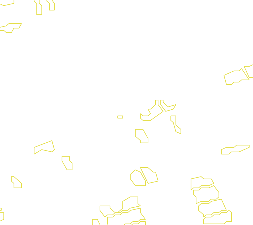 Daksegment met contourlijnen en structuurweergave