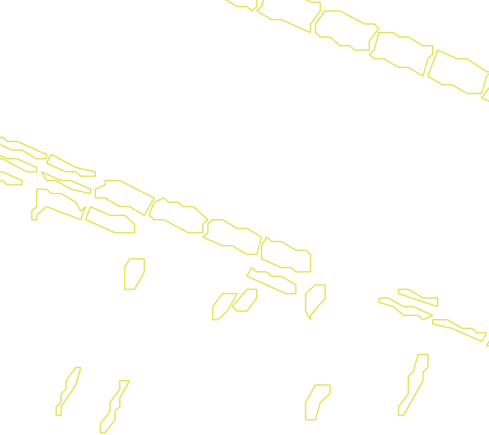 Daksegment met contourlijnen en structuurweergave