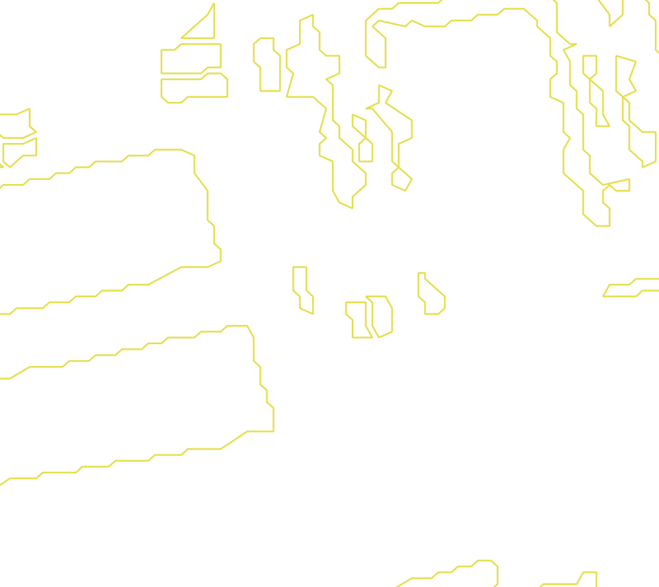 Daksegment met contourlijnen en structuurweergave