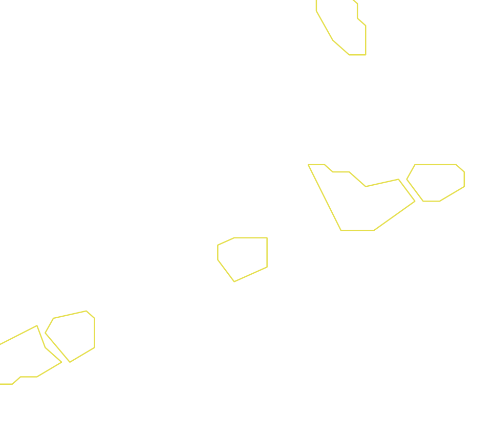 Daksegment ingezoomd met contourlijnen en structuurweergave